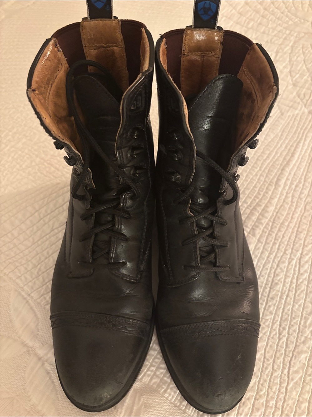 Ariat Black Lace-Up equestrian boot women’s Sz 8.5B